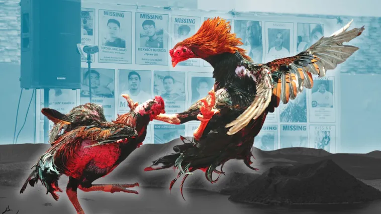 Cách Chơi Đá Gà Sabong WinVN Đỉnh Cao Giải Trí Thách Thức Tột Độ