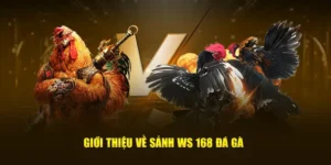 Khám Phá Cách Chơi Đá Gà WS168 Tại WinVN Hấp Dẫn Tuyệt Đối