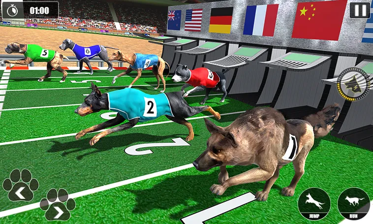 Bí Kíp Thắng Đậm Game Nhanh Đua Chó Tại WinVN Giải Trí Đỉnh Cao