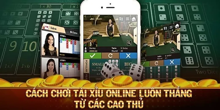 Hướng Dẫn Chơi Tài Xỉu Nhà Cái WinVN Chuẩn Xác Thắng Lớn Mỗi Ngày 2 Hướng Dẫn Chơi Tài Xỉu Nhà Cái WinVN Chuẩn Xác Thắng Lớn Mỗi Ngày